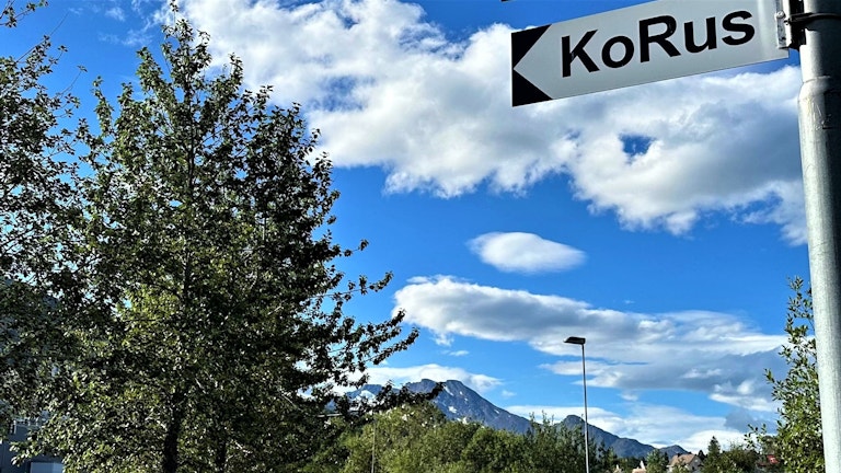 korus pil