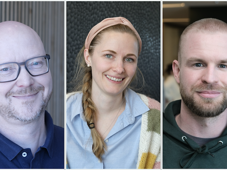 Jensen, Bolle og Maehle