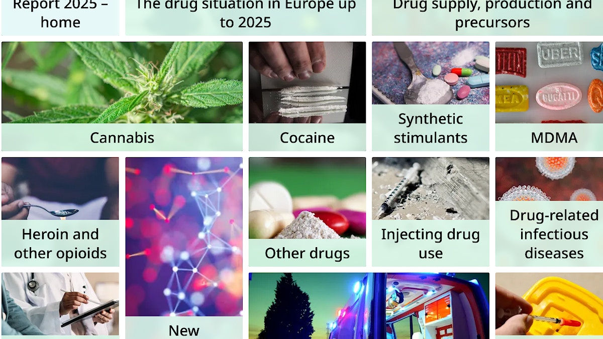 Et knippe bilder som illusterer tema i årsrapporten til EUDA
