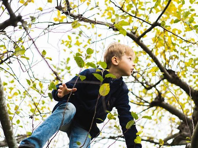 Illustrasjonsbilde av en gutt som klatrer i trærne. (Foto: Jonas Ingstad)